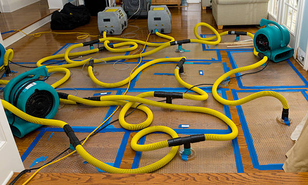 Professional Burst Pipe Water Damage technician working in Plano, KY